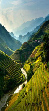 Boutique Package Offer