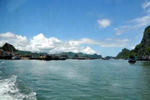 Bai Tu Long Potential For Vietnam Tourism