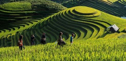 Ha Giang. – A great destination that can not be ignored.
