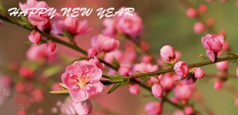 Vietnamese Traditional New Year’s Announcement