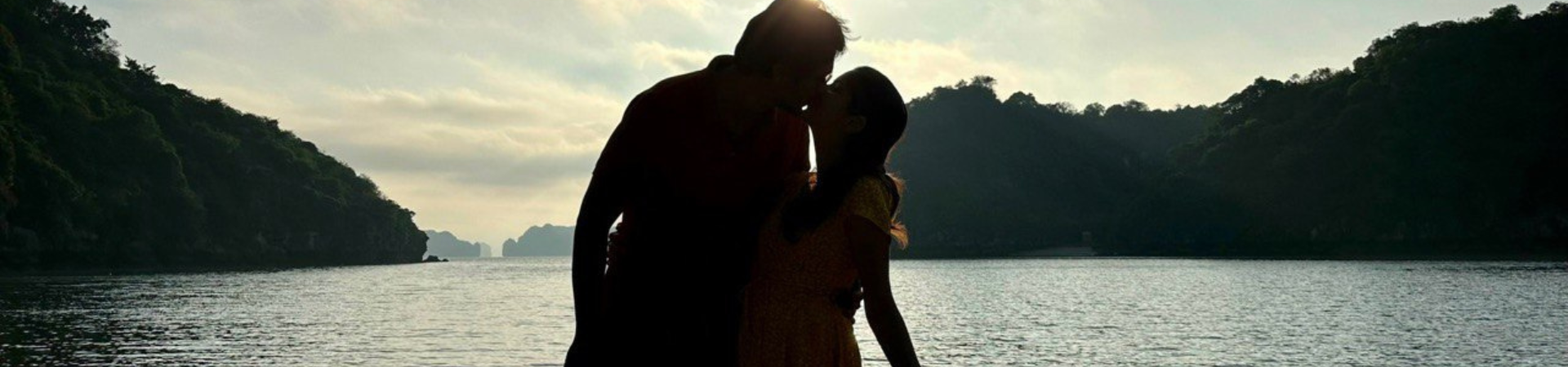 Definitely Recommended Your Swan